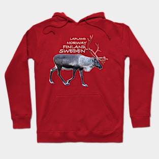 Lapland Hoodie